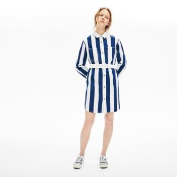 Lacoste LIVE Striped Cotton Shirtdress - Šaty Dámské Bílé / Tmavě Blankyt Blankyt | CZ-8iF7Sp